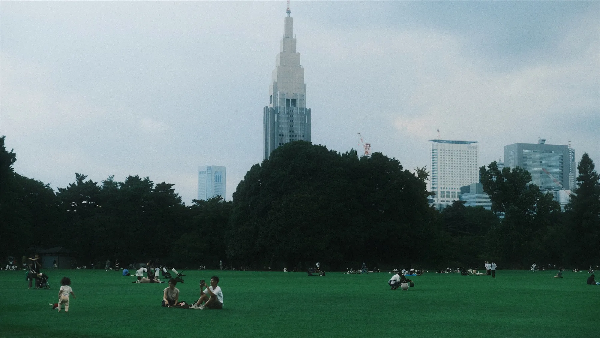 新宿御苑。めちゃ広い。