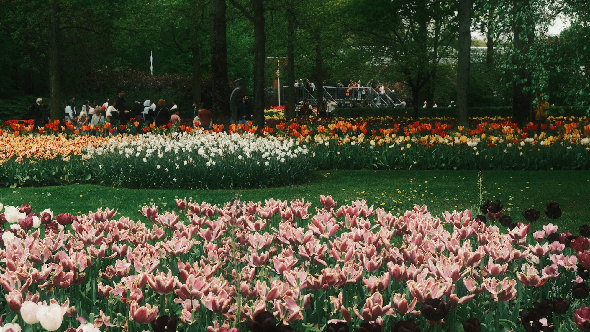 キューケンホフ。無限に花がある以外の説明ができない。マリオカート8DXで見たやつだ！