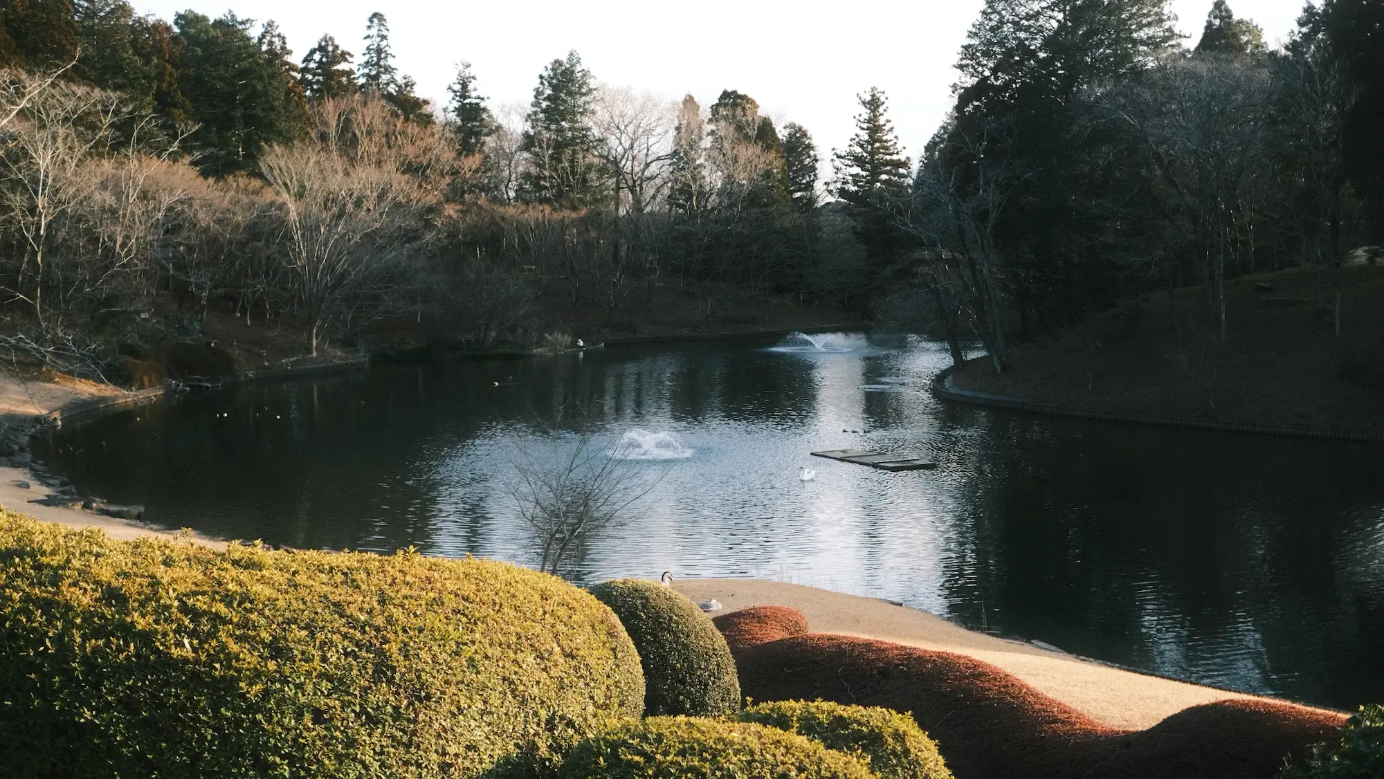 DIC川村美術館の庭と湖